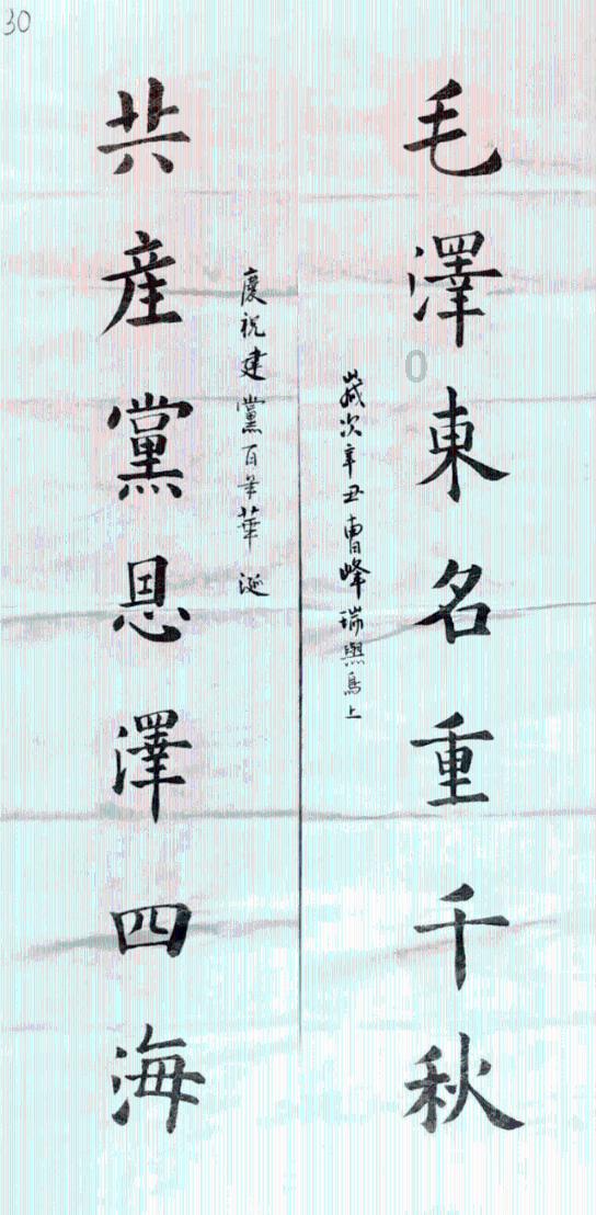 可怜猫的救援